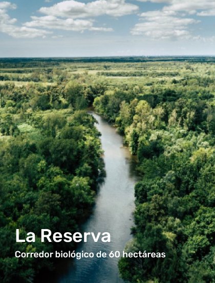 Mesa de trabajo 5 copia 6