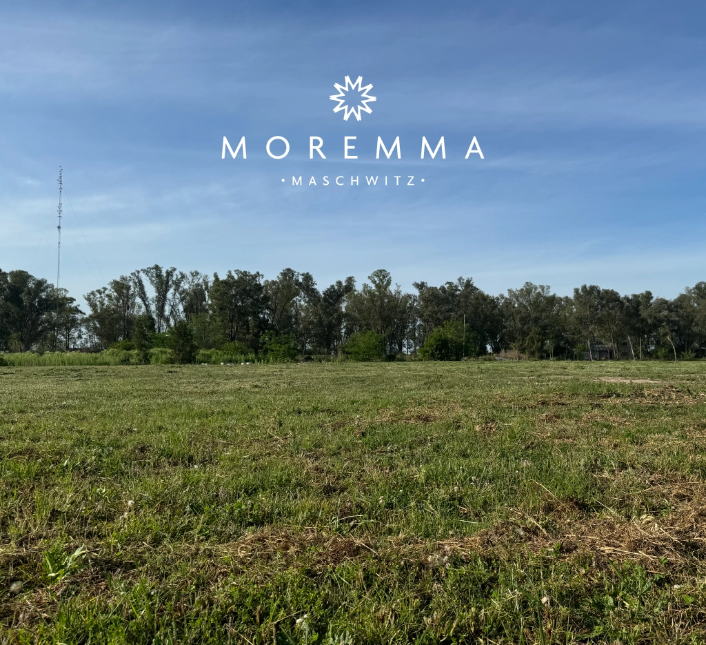 Terra-Urbana-Moremma_foto-moremma 1