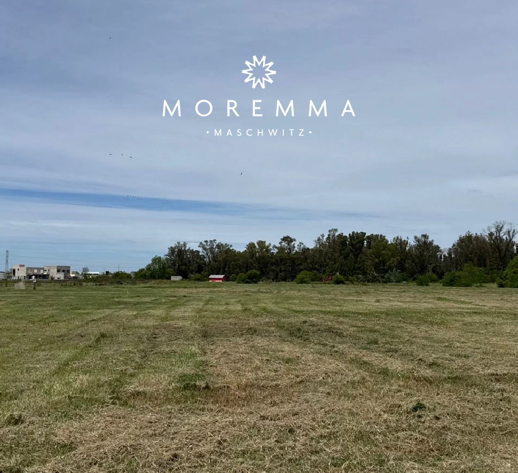 Terra-Urbana-Moremma_foto-moremma 2