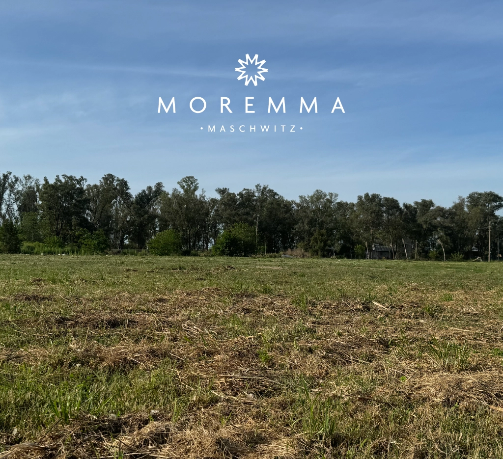 Terra-Urbana-Moremma_foto-moremma 3