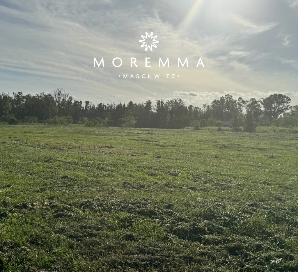Terra-Urbana-Moremma_foto-moremma 4